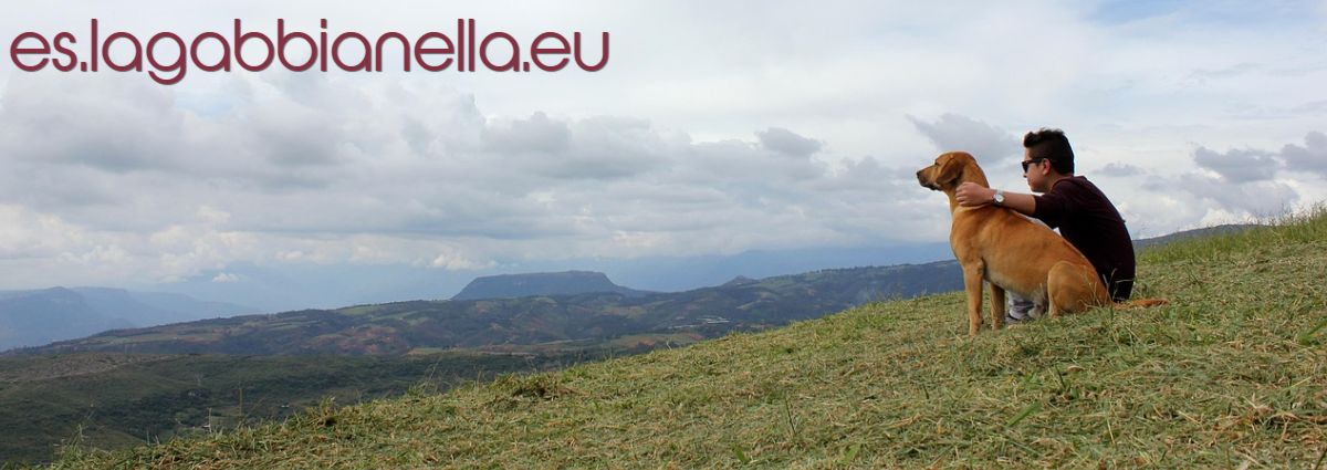 es.lagabbianella.eu